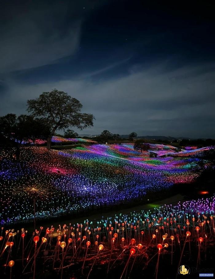 Đèn trang trí ngoài trời tăng tính an toàn khi di chuyển ban đêm.