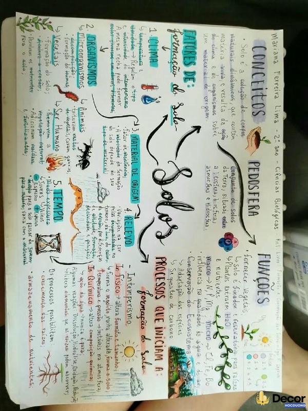 cách trang trí sơ đồ tư duy