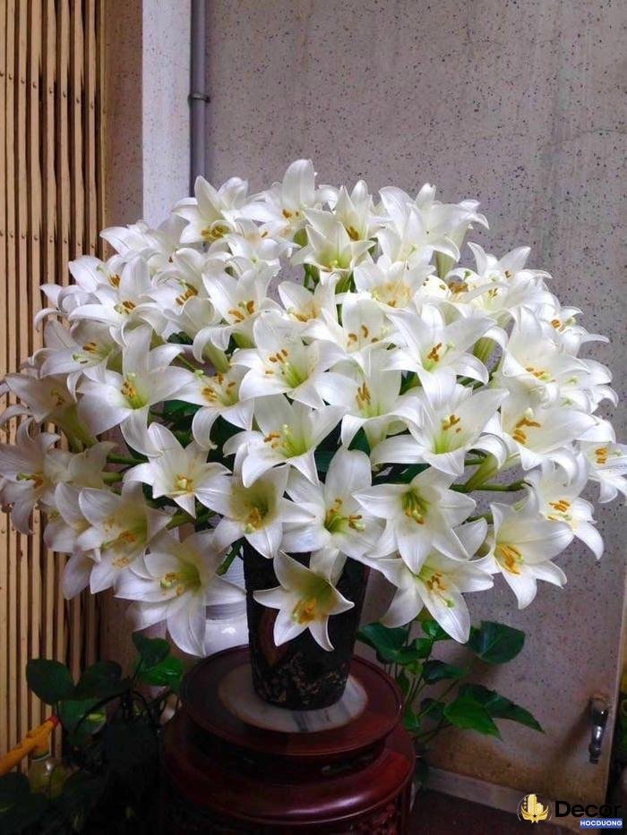 hoa trang trí phòng ngủ