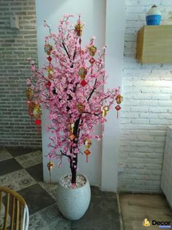 trang trí ngày tết nhà cửa