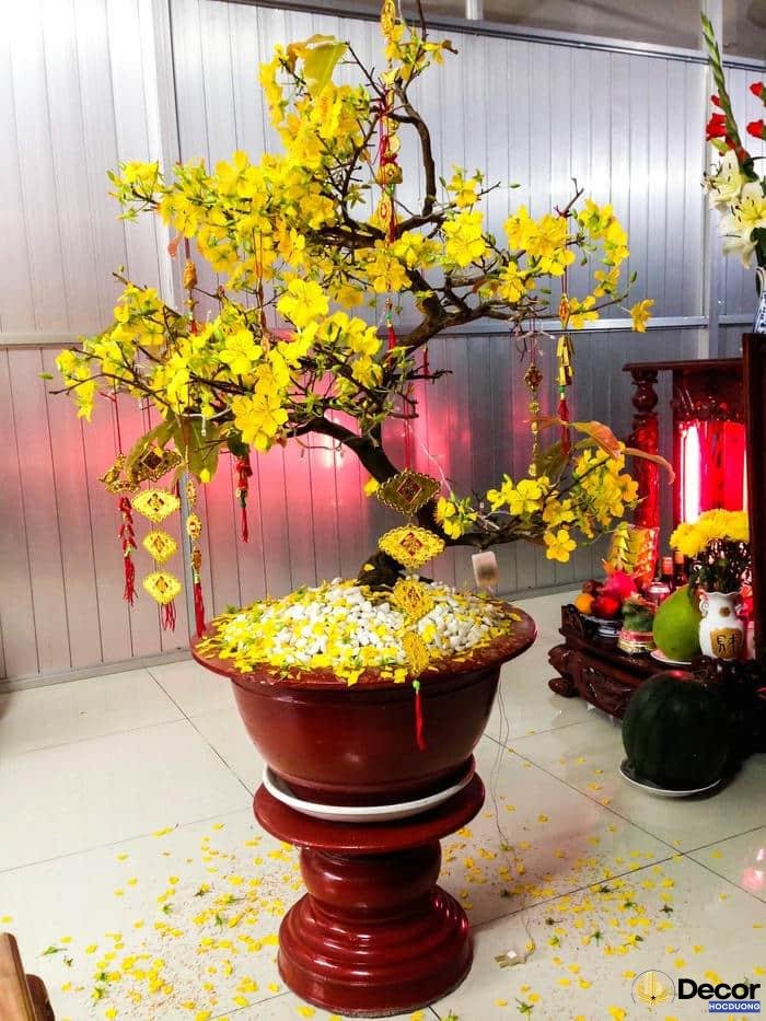 trang trí nhà ngày tết