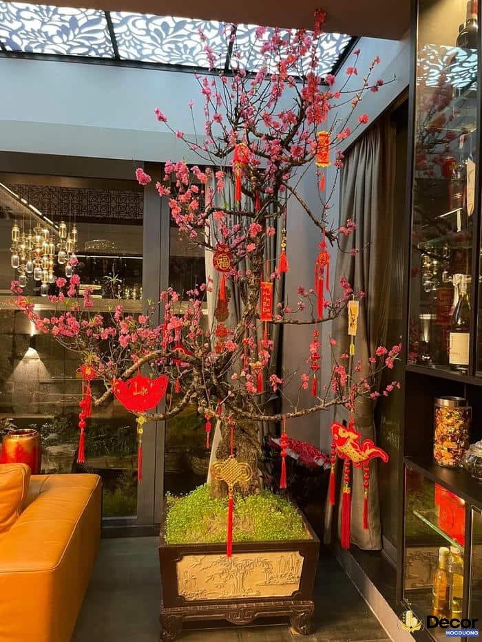 trang trí nhà ngày tết bằng hoa đào