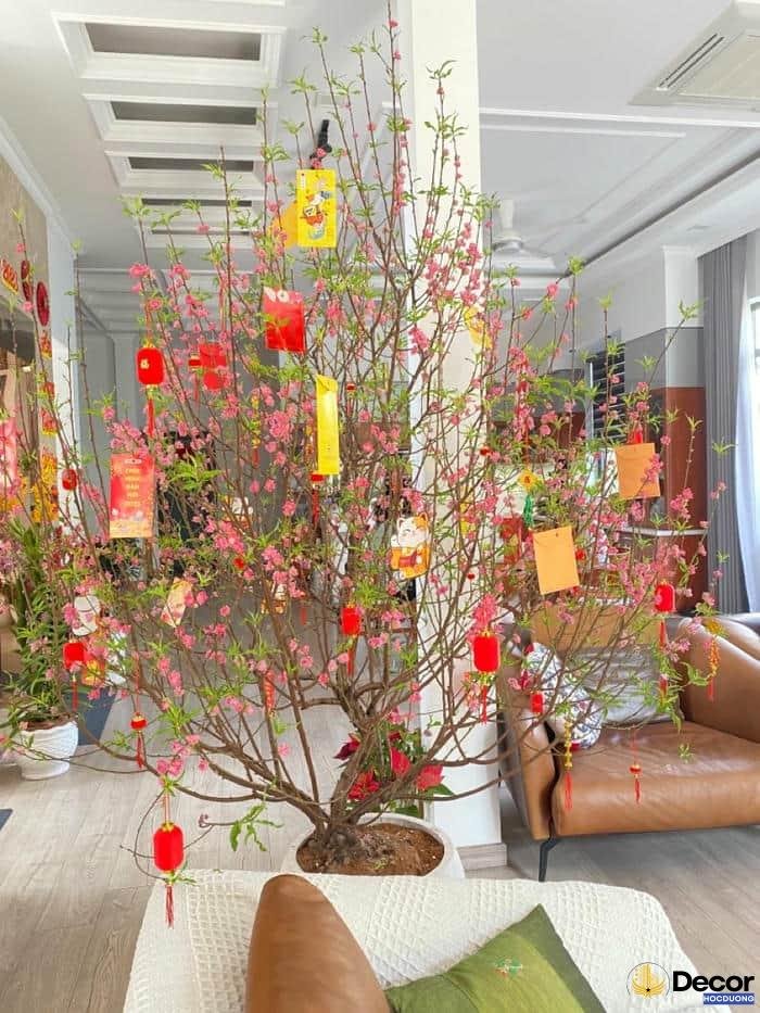 trang trí nhà ngày tết truyền thống