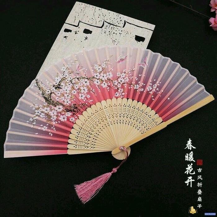 trang trí quạt họa tiết độc đáo