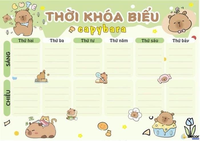 trang trí thời khóa biểu cấp 2 của trường học
