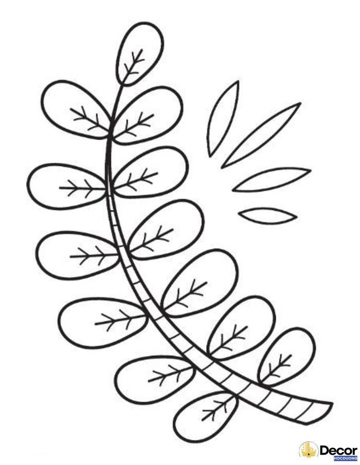 Hình tô màu chiếc lá đơn giản