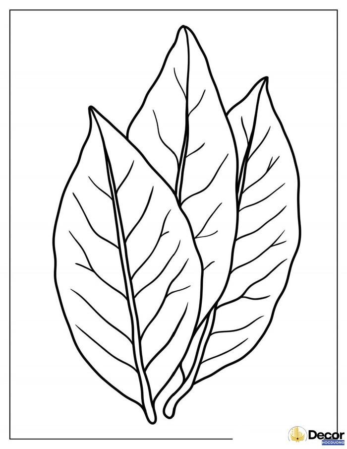 Tranh tô màu chiếc lá
