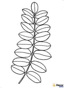 Tranh tô màu lá xanh