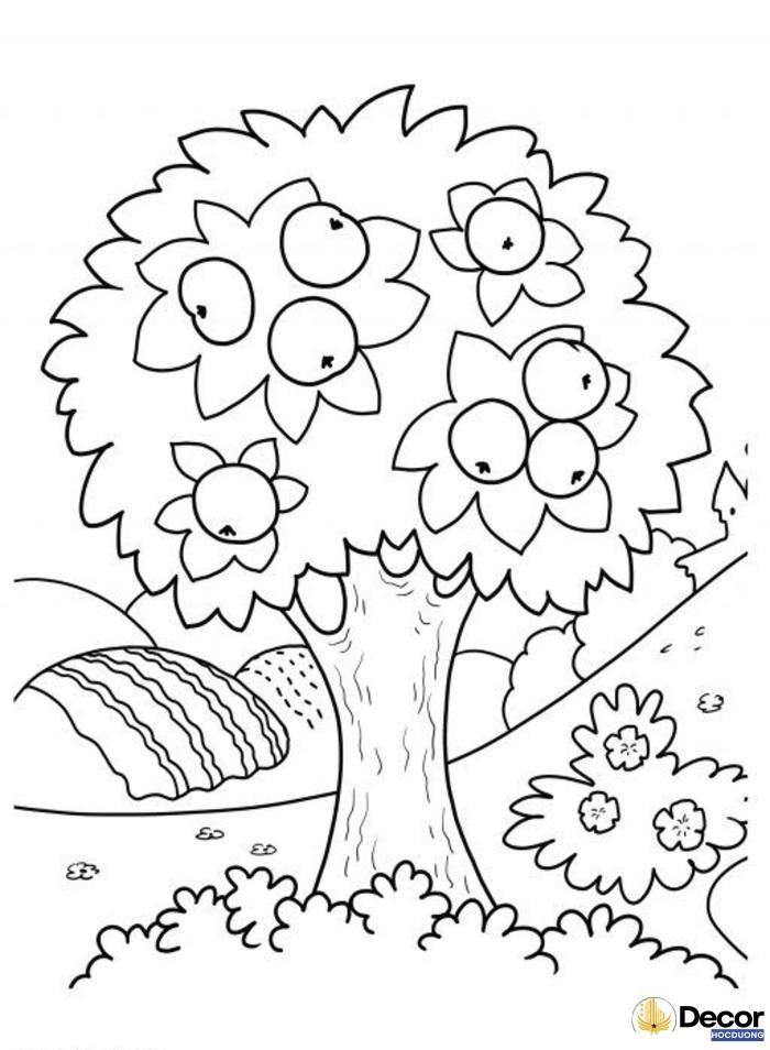 bộ tranh tô màu cây xanh