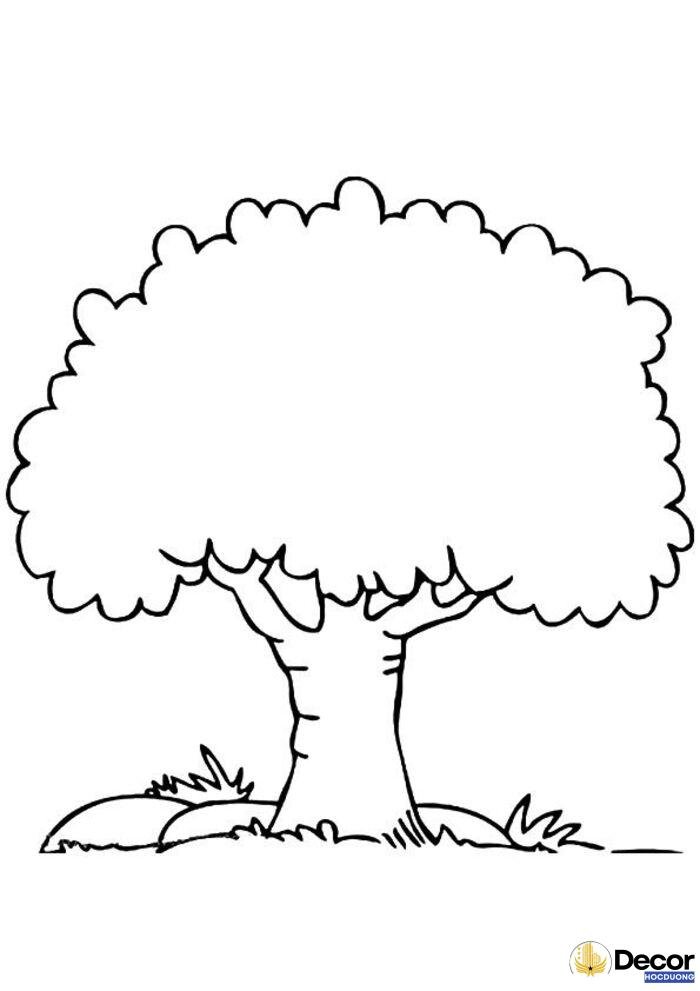 cây xanh tô màu cực xinh