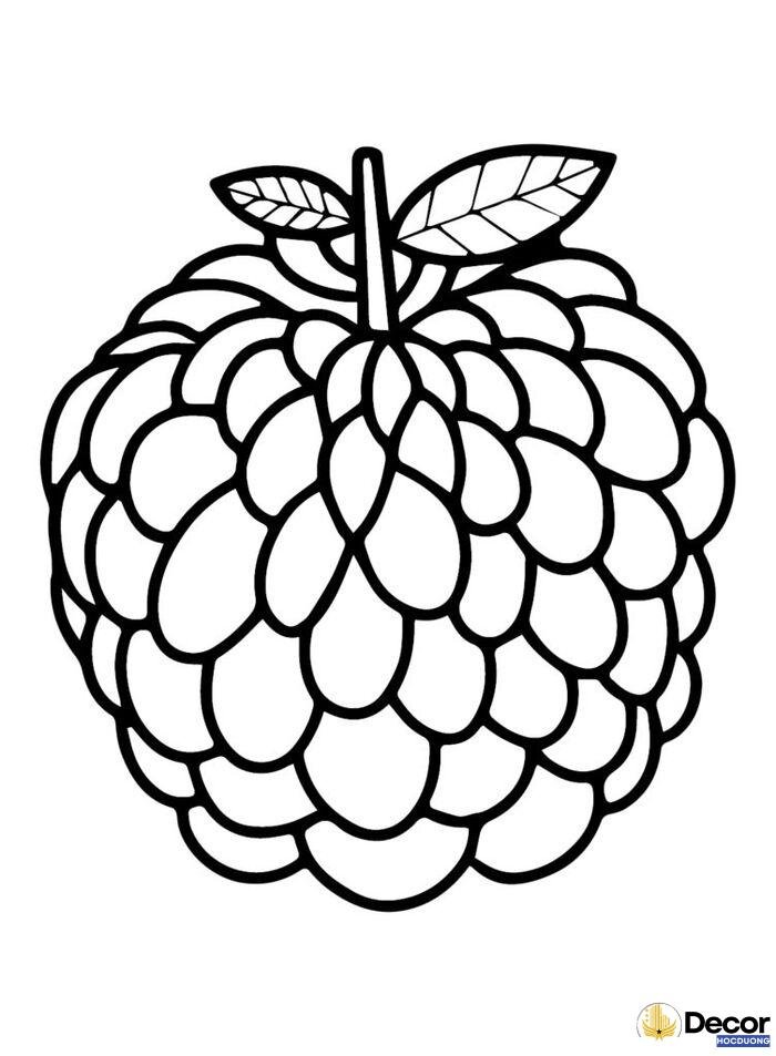 hình tô màu các loại hoa quả