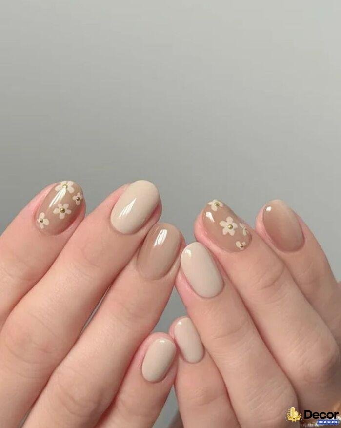nail basics cảm hứng basic