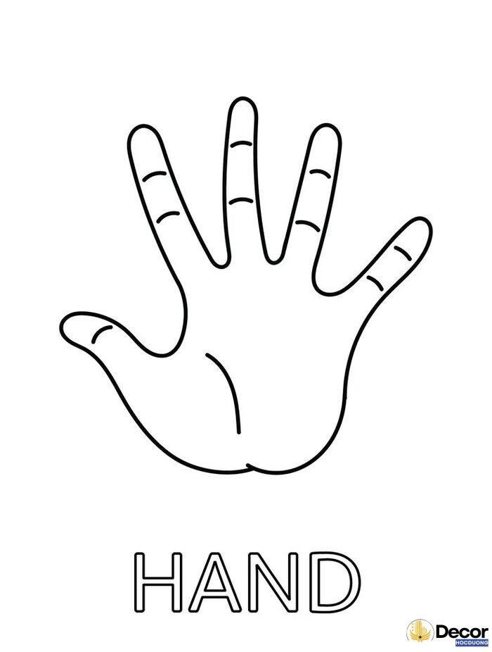 tô màu bàn tay dễ tô