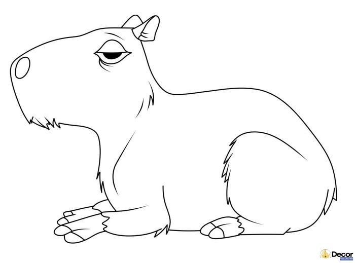 tranh tô màu capybara ấn tượng