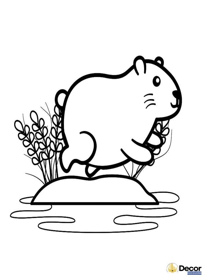 tranh tô màu capybara dễ thương