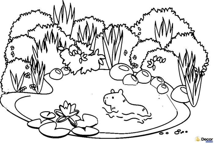 tranh tô màu capybara dễ tô