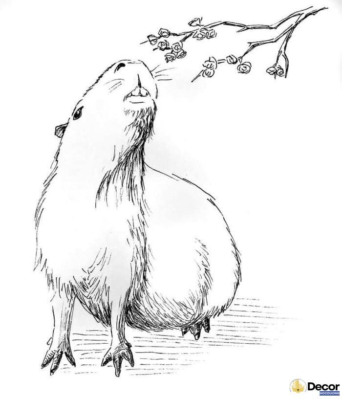 tranh tô màu capybara đẹp