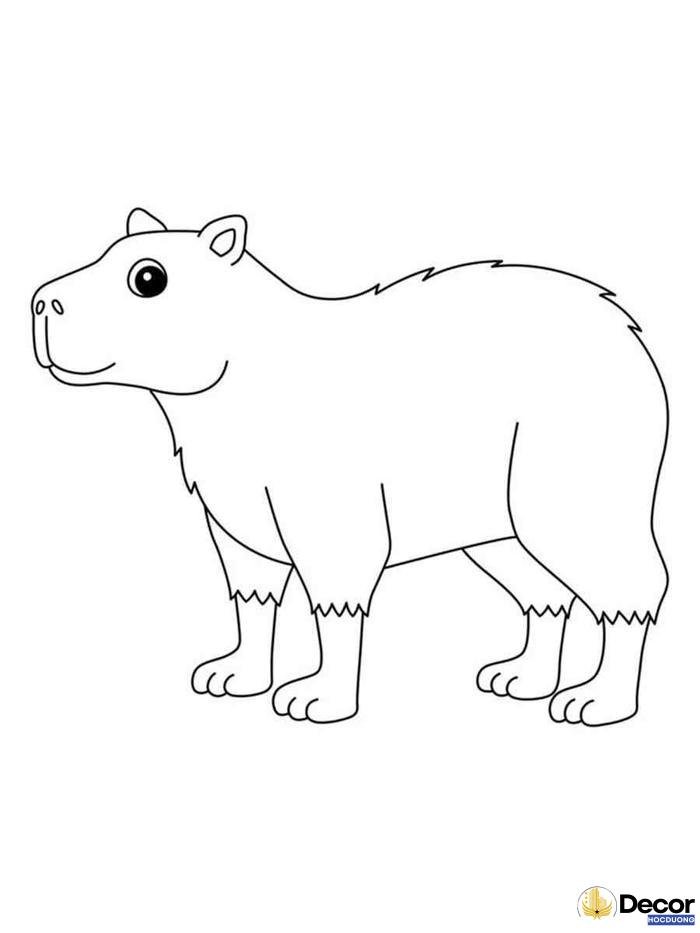 tranh tô màu capybara độc đáo