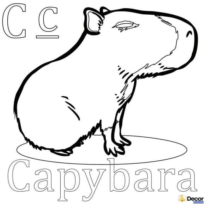 tranh tô màu capybara đơn giản