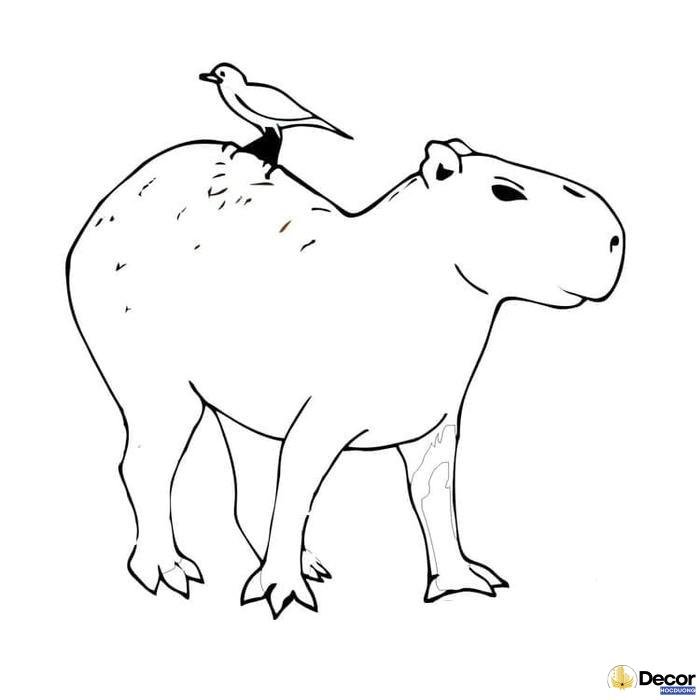 tranh tô màu capybara hài hòa