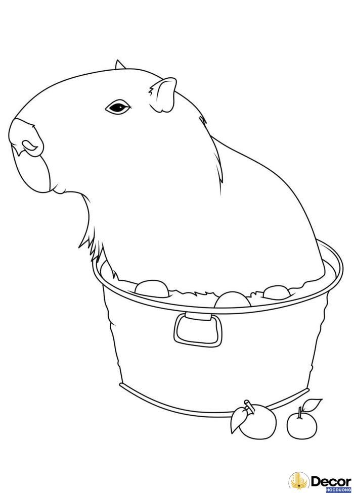 tranh tô màu capybara nổi bật