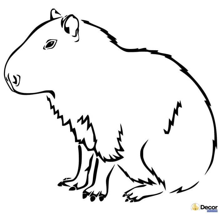 tranh tô màu capybara thẩm mỹ