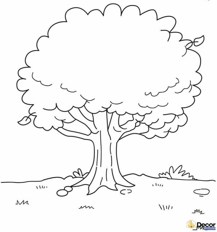 tranh tô màu cây xanh cho bé