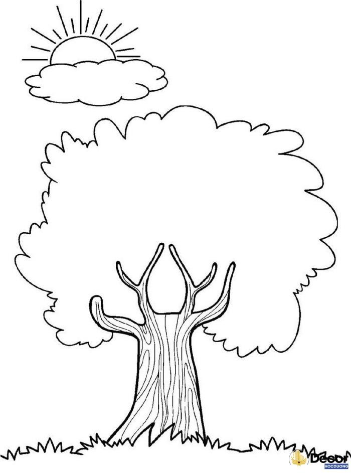 tranh tô màu cây xanh dễ tô