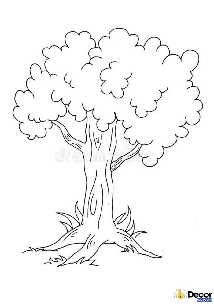 tranh tô màu cây xanh đẹp mắt