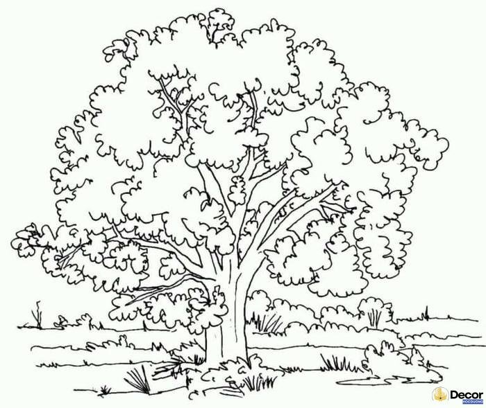 tranh tô màu cây xanh độc đáo