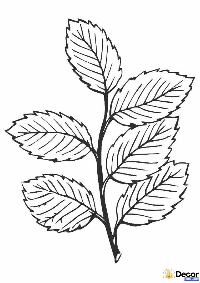 tranh tô màu hình lá cây dễ thương