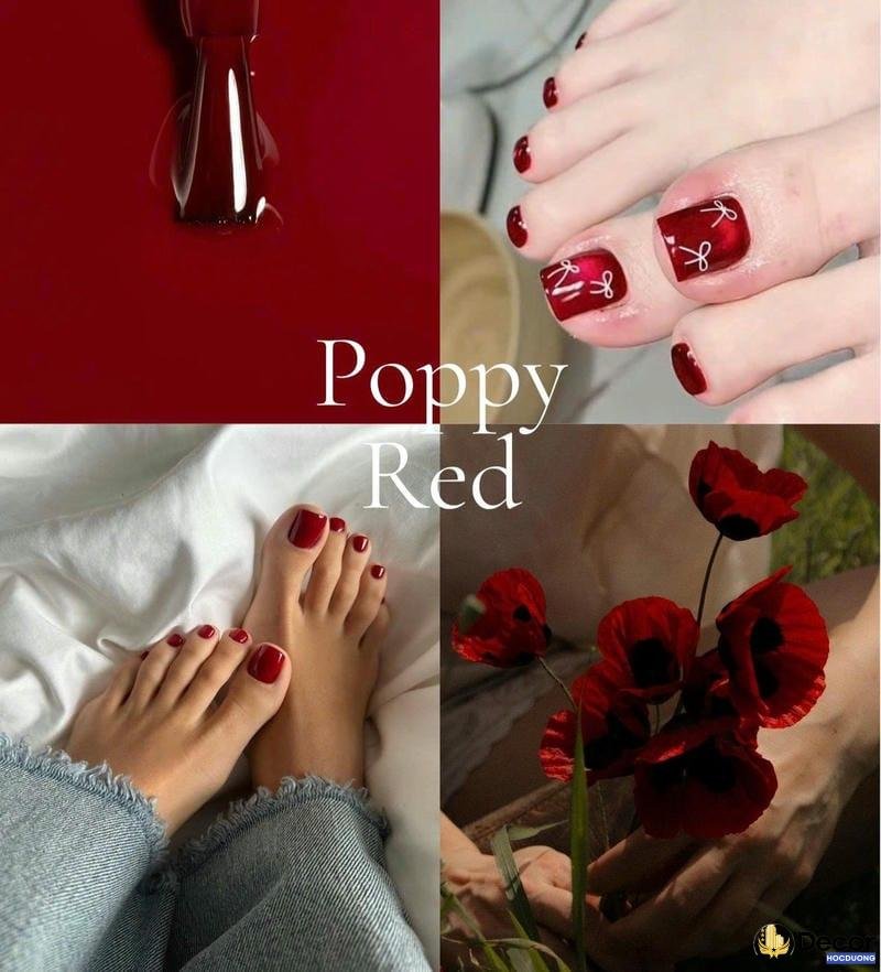 nail mắt mèo màu đỏ rượu 4k