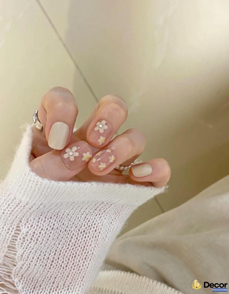 nail vẽ hoa cúc họa mi full hd