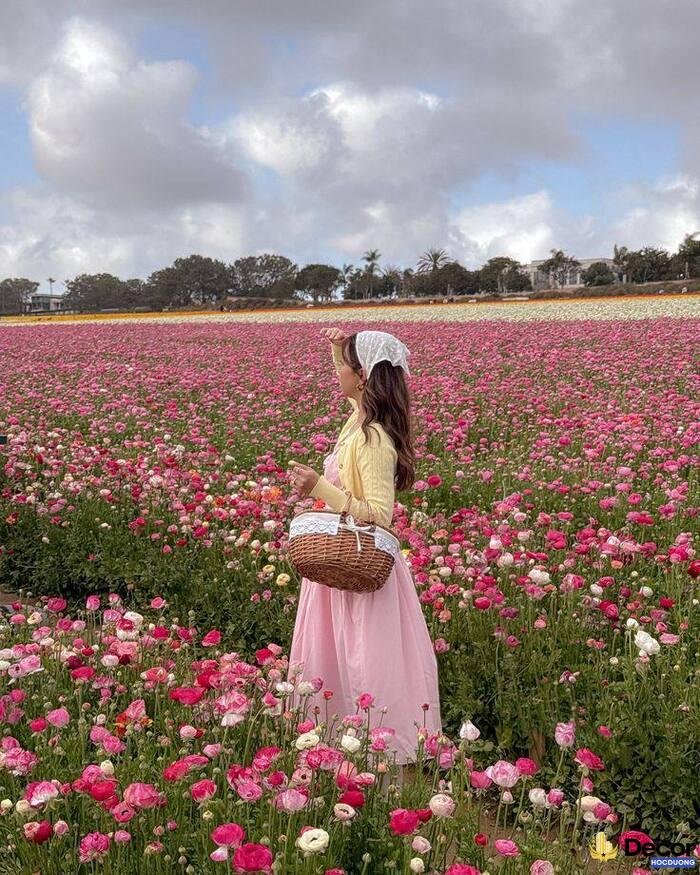 gái xinh mặc pinky chụp ảnh ngoài trời