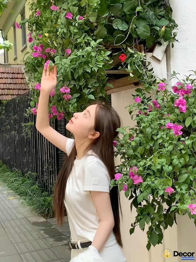 Album ảnh gái xinh 2k5 mới
