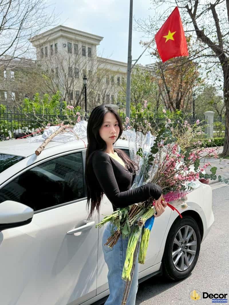 Khám phá ảnh lê bống đẹp