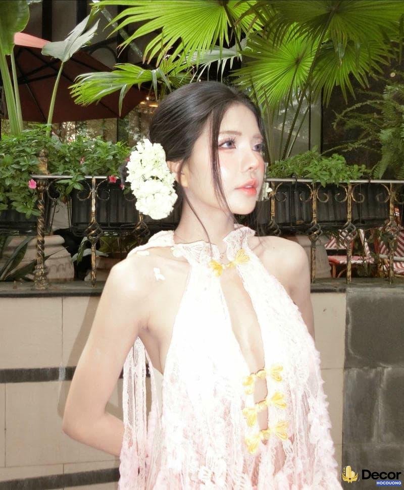 Tải về ảnh mai dora chất lượng cao