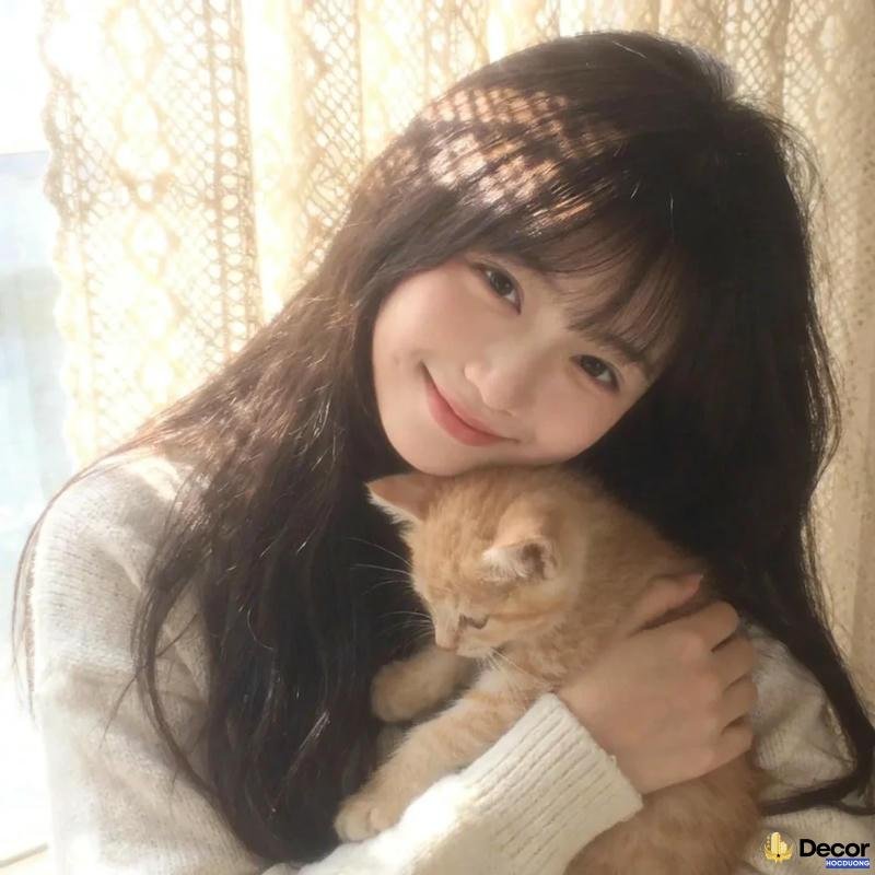 Tổng hợp ảnh gái cute chất lượng