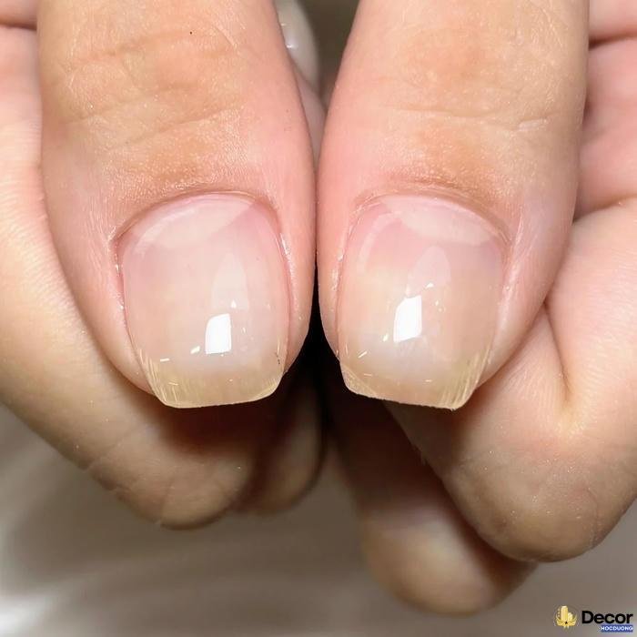 nail trong suốt dễ thương