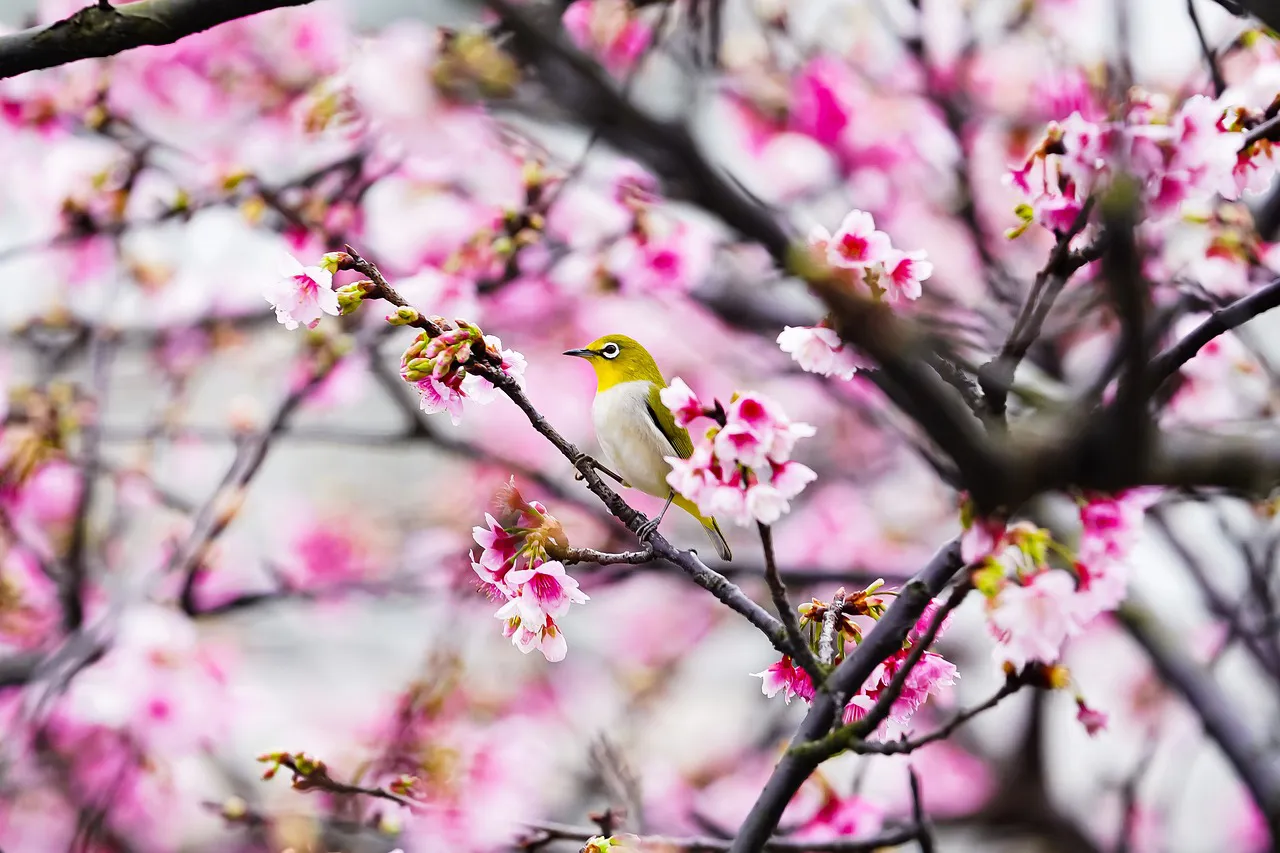 image_17 image_17